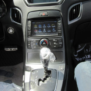 ضبط چینی جنسیس